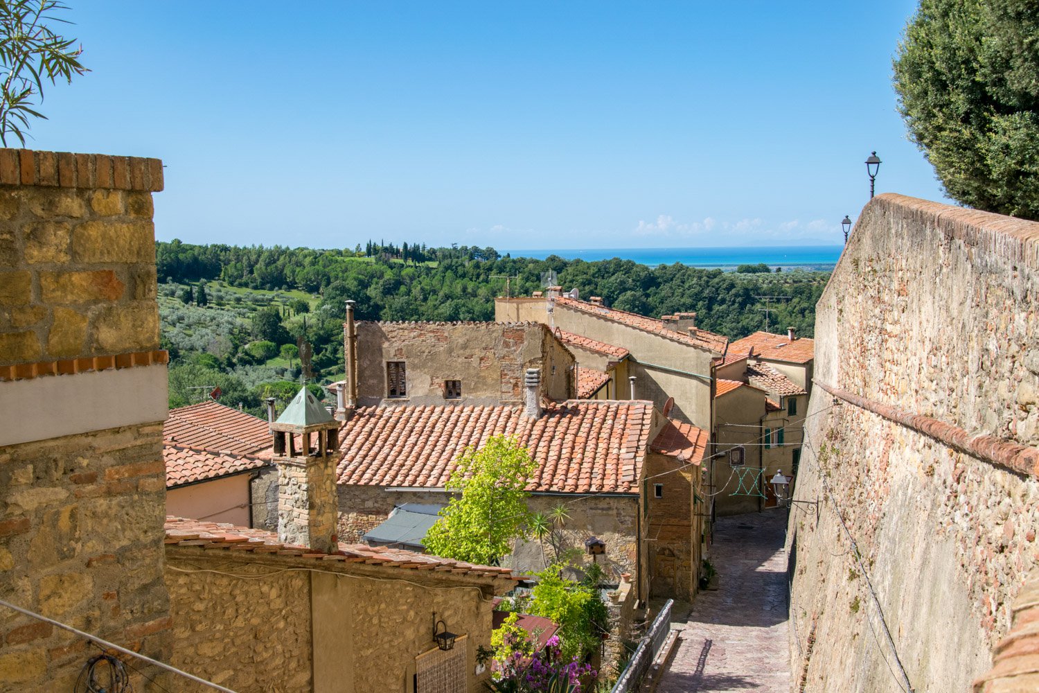 Montescudaio.jpg