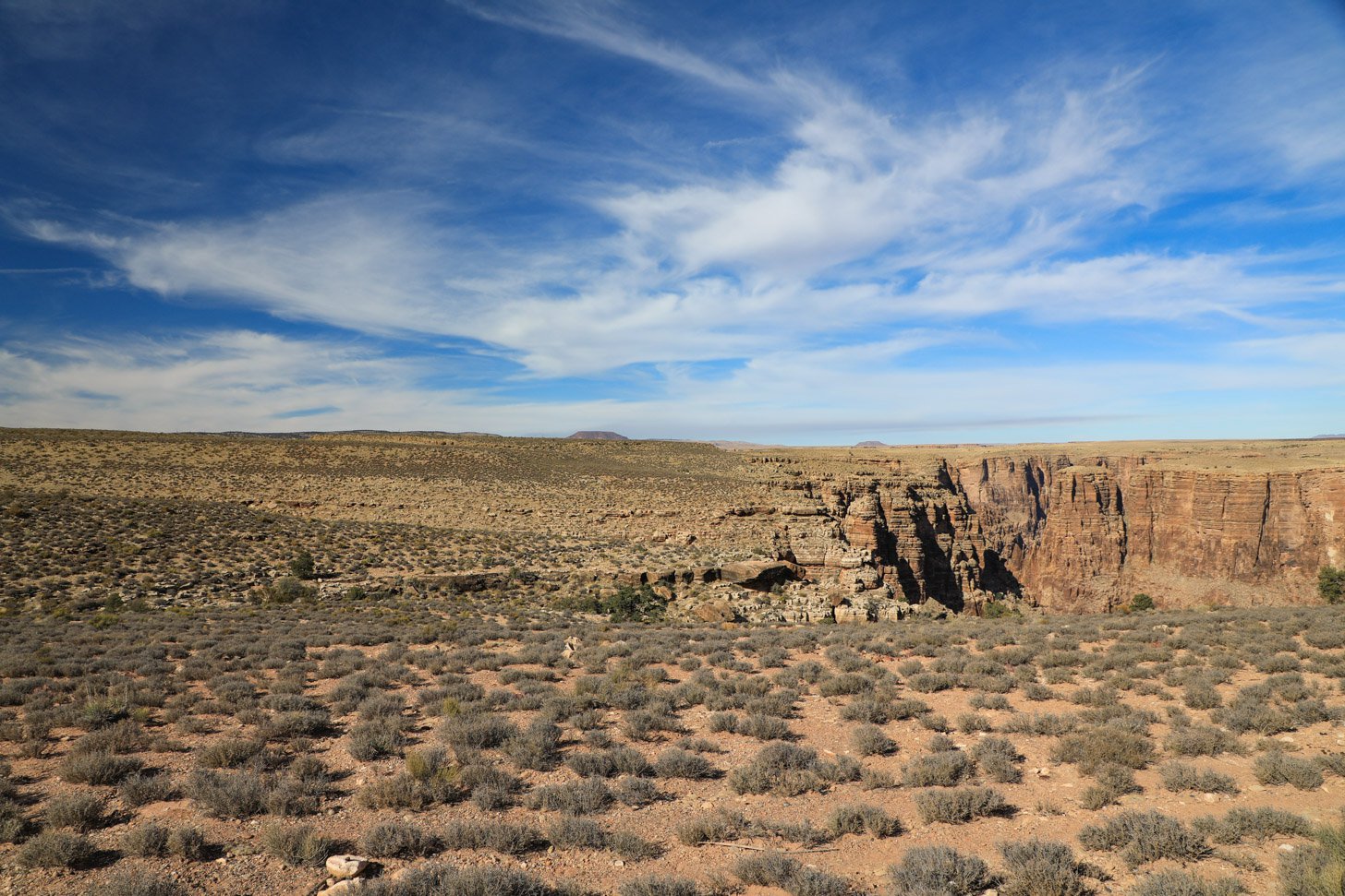 Arizona