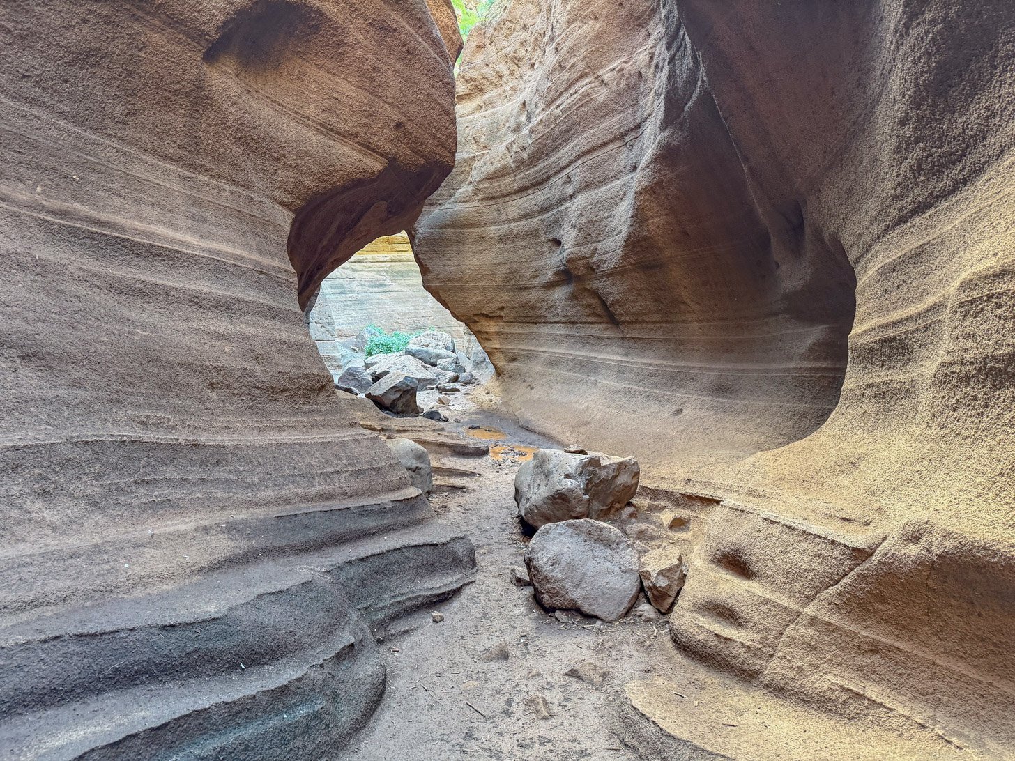Barranco de las Vacas