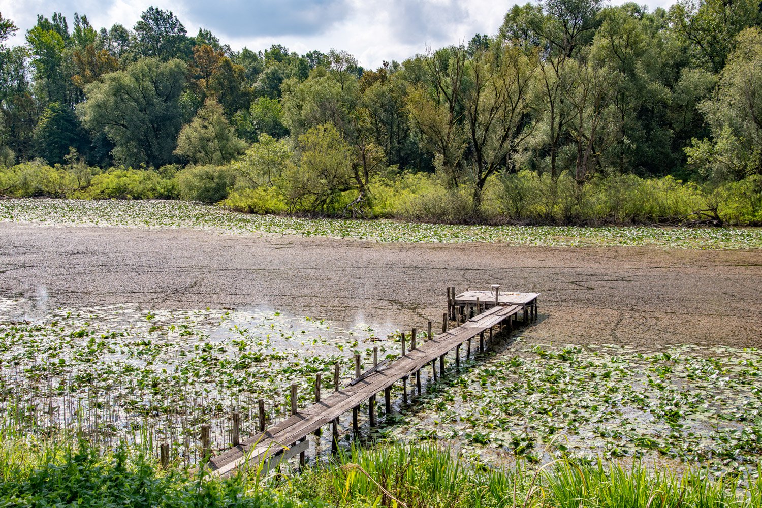 klimaat-lonjsko-polje.jpg