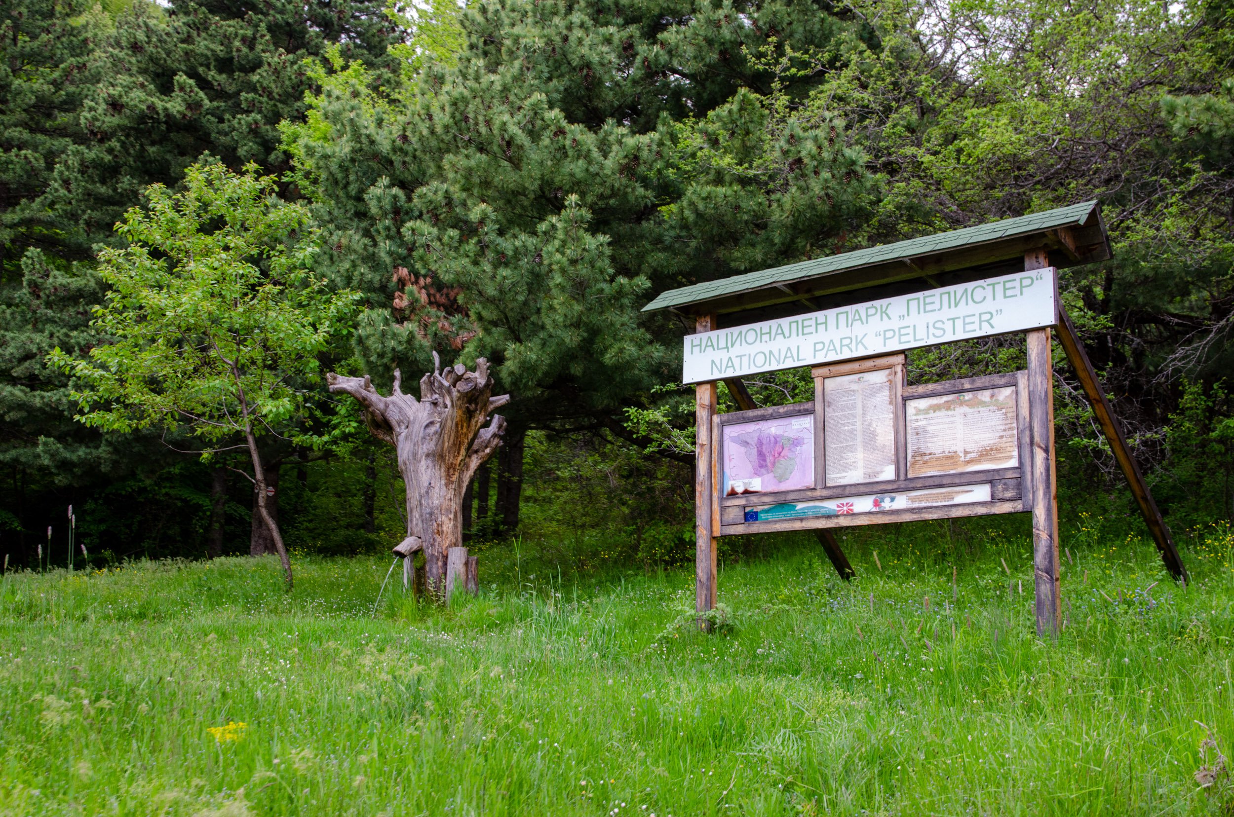 klimaat-nationaal-park-pelister.jpg