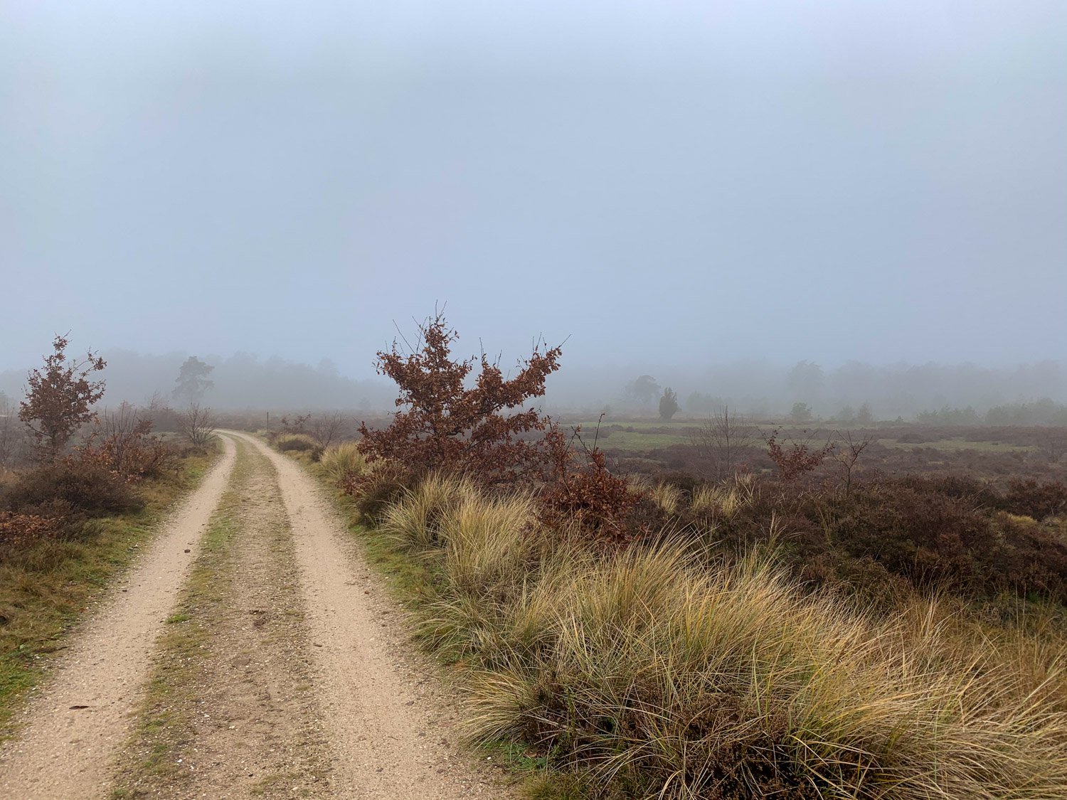 klimaat-veluwe-park.jpg